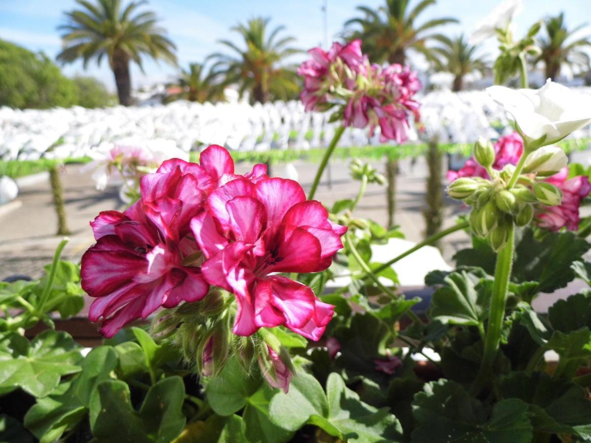 Bea'S Bed & Breakfast Tavira Buitenkant foto