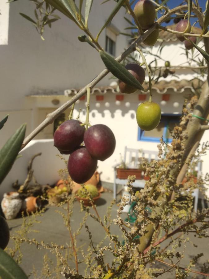 Bea'S Bed & Breakfast Tavira Buitenkant foto